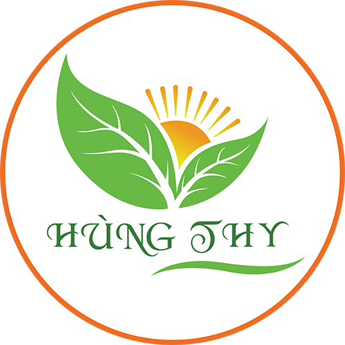Hùng Thy