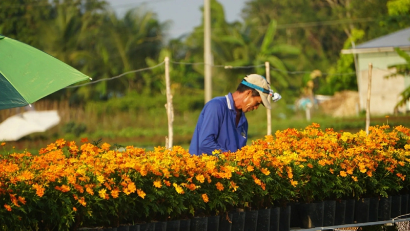 Tinh hoa làng nghề hoa Sa Đéc và giá trị truyền thống.