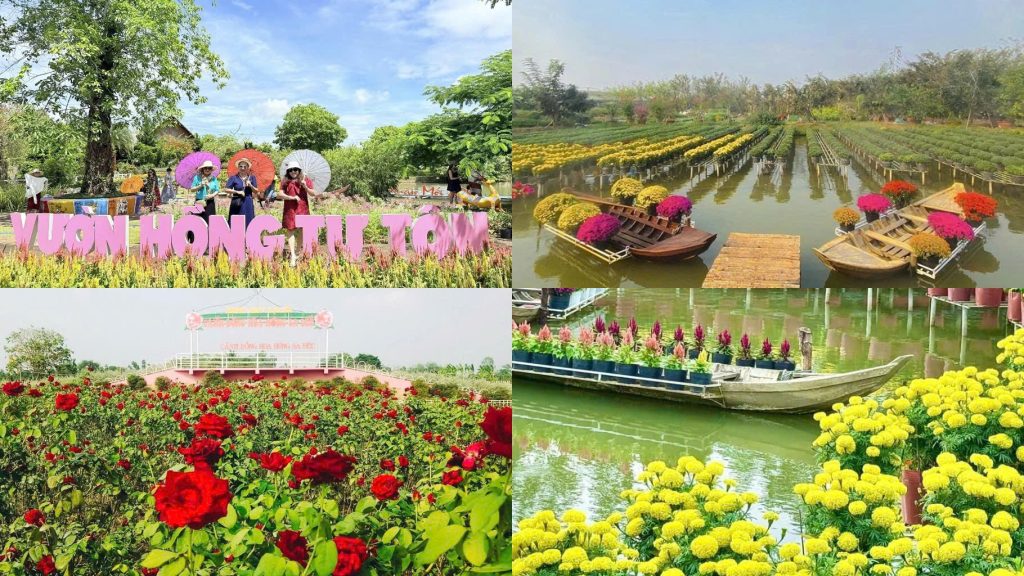 Tham quan Vườn hồng Tư Tôn, Cánh đồng hoa hồng và trải nghiệm xe điện tại Happy Land Hùng Thy